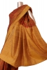 Pure Paisley Printed Silk Saree